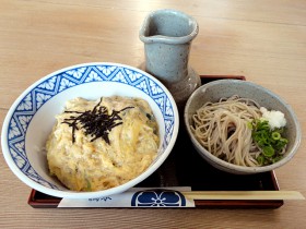 生そば半人前と玉子丼